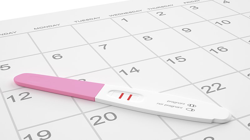 Fecha prevista de parto